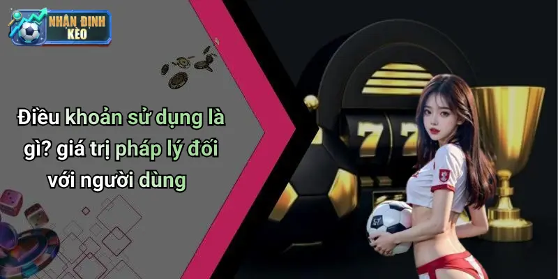 Điều khoản sử dụng là gì? giá trị pháp lý đối với người dùng