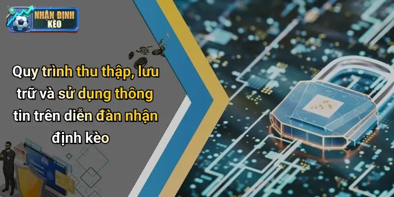 Quy trình thu thập, lưu trữ và sử dụng thông tin trên diễn đàn nhận định kèo