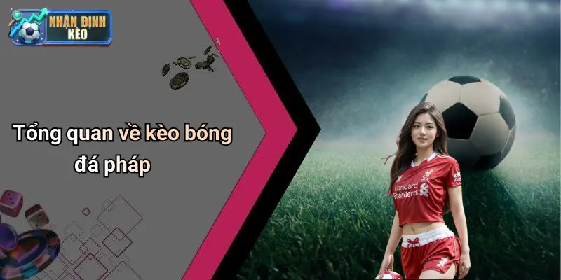 Tổng quan về kèo bóng đá pháp