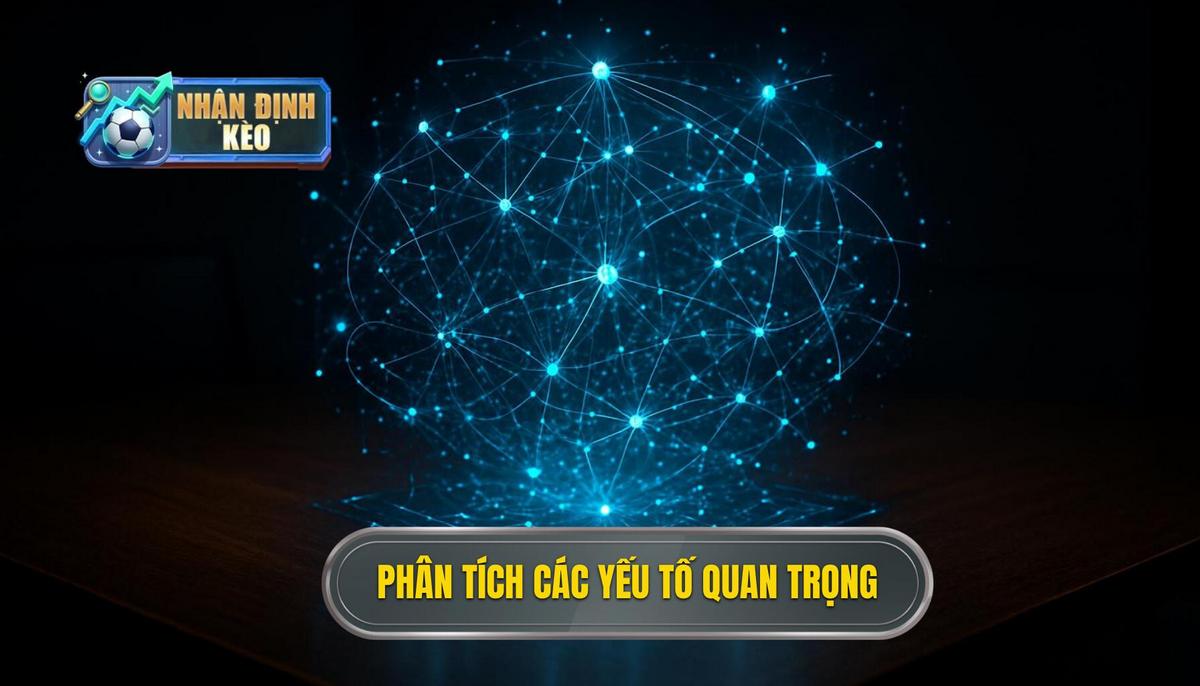 Phân tích chuyên sâu các yếu tố then chốt