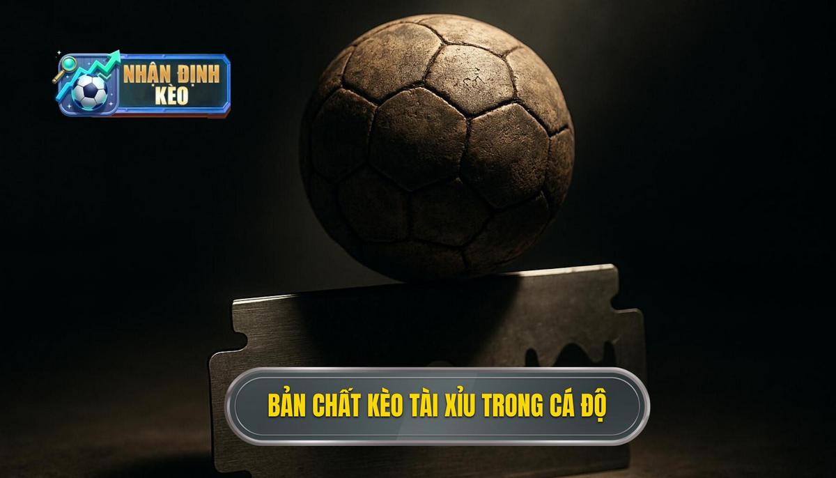 Bản chất chuyên sâu của kèo tài xỉu trong cá độ bóng đá