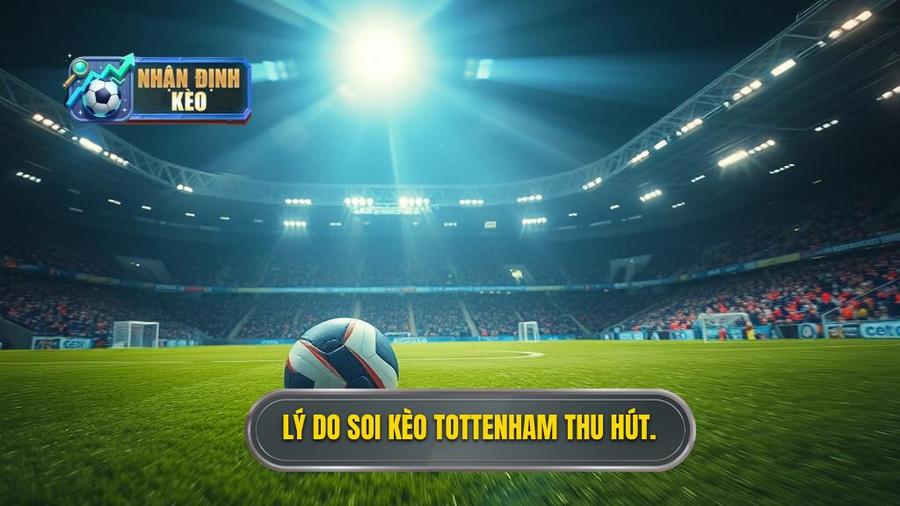 1. Lý do soi kèo Tottenham thu hút.