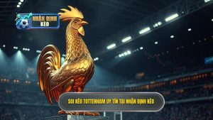 Soi Kèo Tottenham Hôm Nay - Nhận Định Chính Xác Từ Chuyên Gia