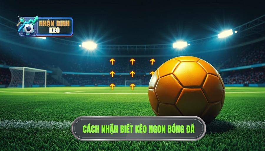 Thế nào là một "kèo ngon" trong cá cược bóng đá?