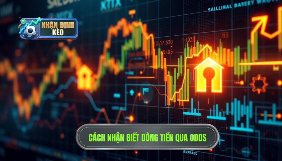 Cách nhận biết dòng tiền đổ vào cửa nào qua biến động Odds