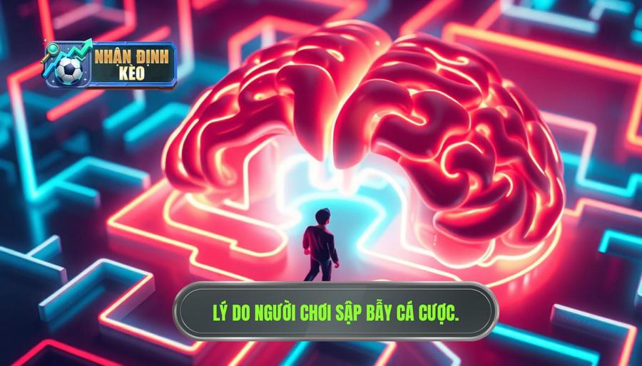 Phân tích đa chiều: Tại sao người chơi luôn sập bẫy?