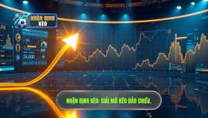 Vì sao kèo đảo chiều phút cuối? Bí mật từ nhà cái và chuyên gia
